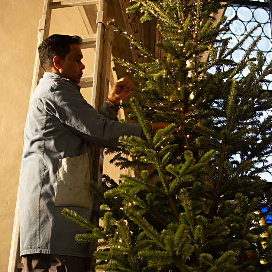 Verwandlung vom Tannenbaum in einen Weihnachtsbaum